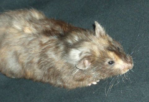 Click to view full size image